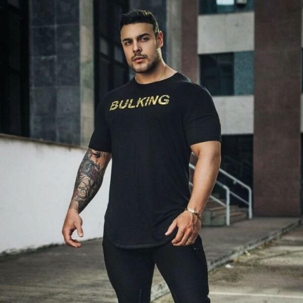 Мужская футболка для фитнеса и бодибилдинга BUL KING (лев), черная